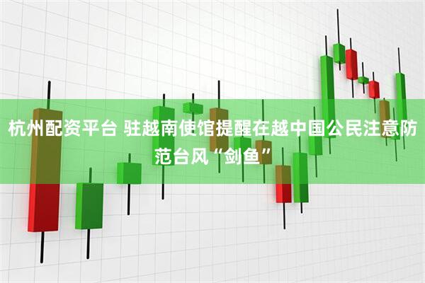 杭州配资平台 驻越南使馆提醒在越中国公民注意防范台风“剑鱼”