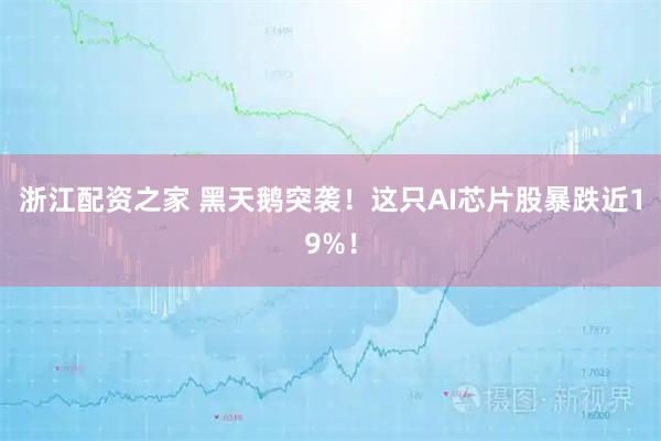 浙江配资之家 黑天鹅突袭！这只AI芯片股暴跌近19%！