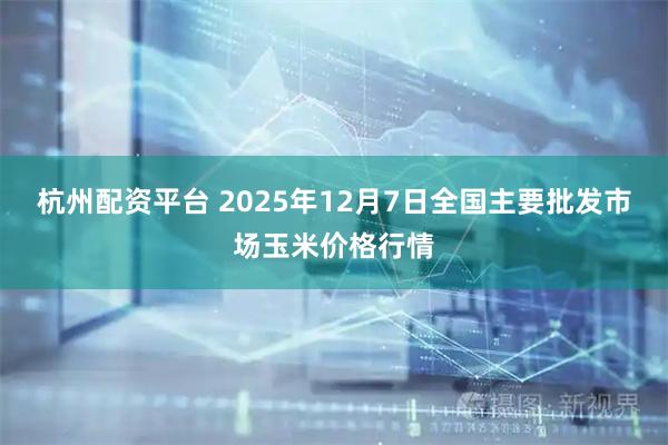 杭州配资平台 2025年12月7日全国主要批发市场玉米价格行情